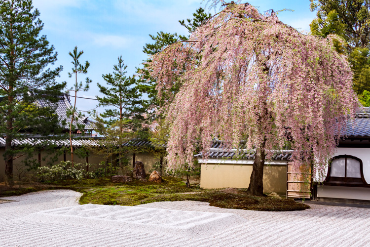 写真:高台寺