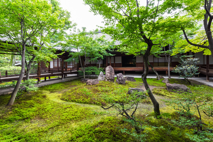 写真:L 建仁寺